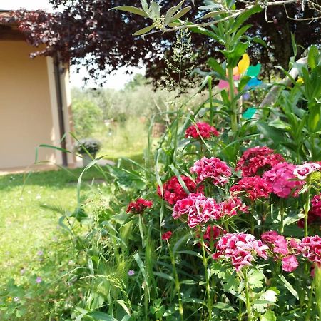 Bnb A La Maison Reggello Exterior foto