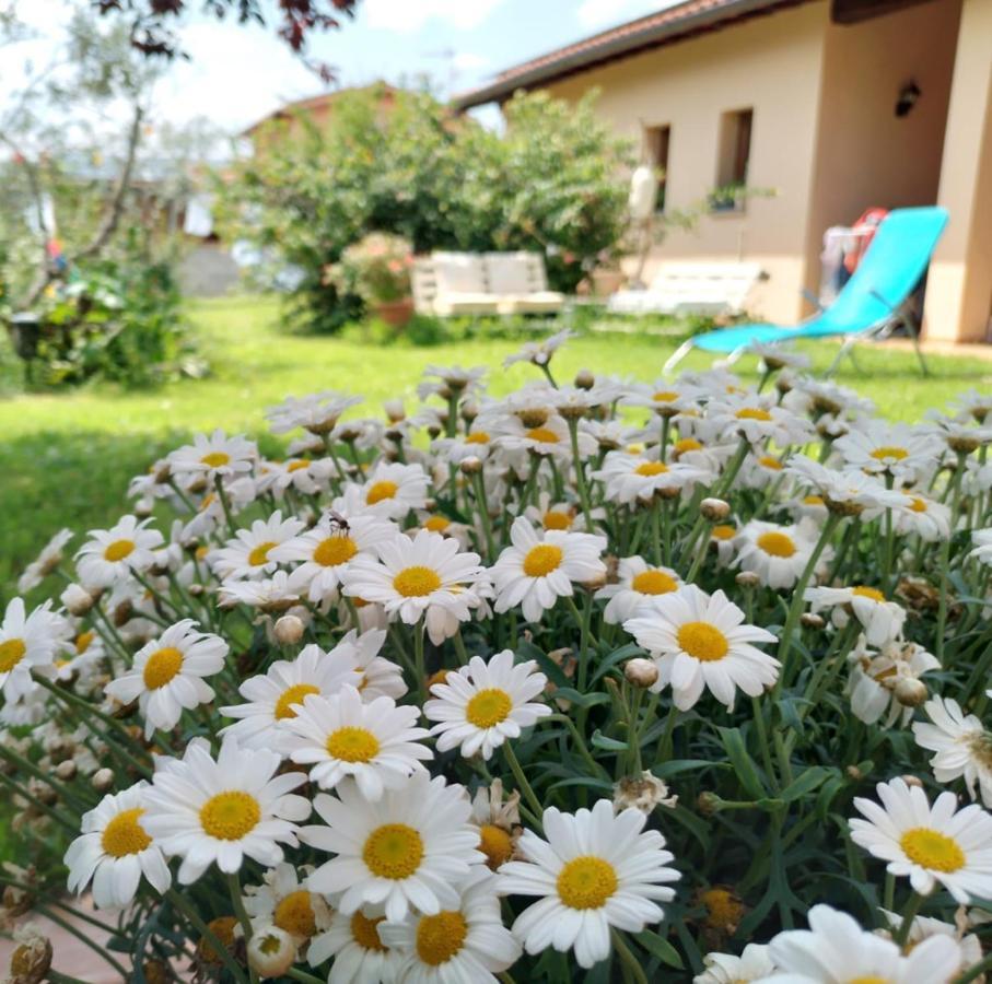 Bnb A La Maison Reggello Exterior foto