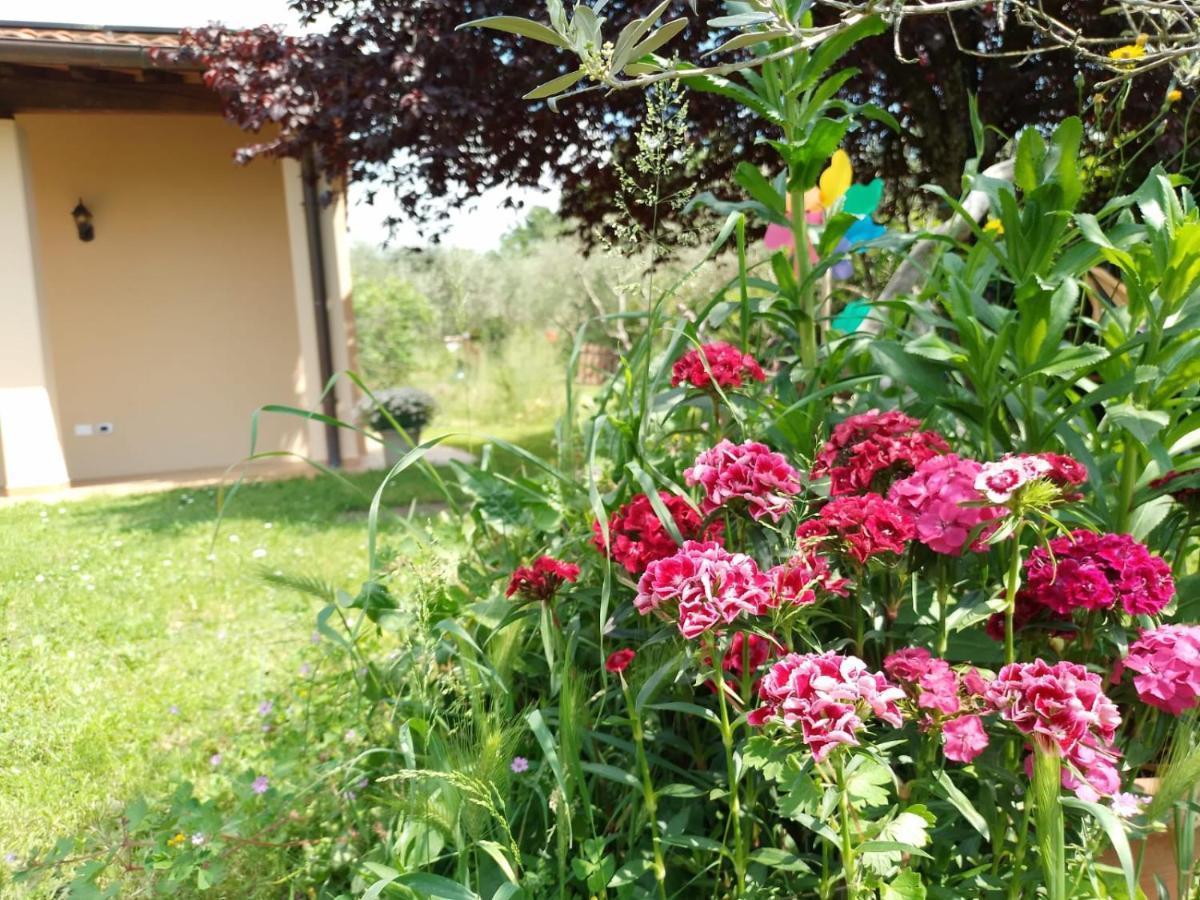 Bnb A La Maison Reggello Exterior foto